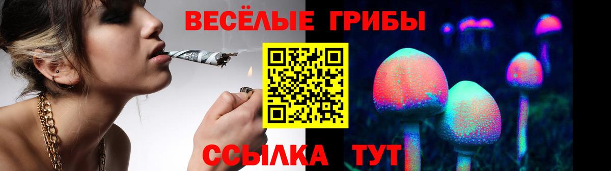 Галлюциногенные грибы GOLDEN TEACHER  Псилоцибиновые грибы MAGIC MUSHROOMS  Вход с VPN  Самара 